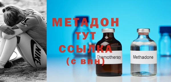прущие грибы Осинники